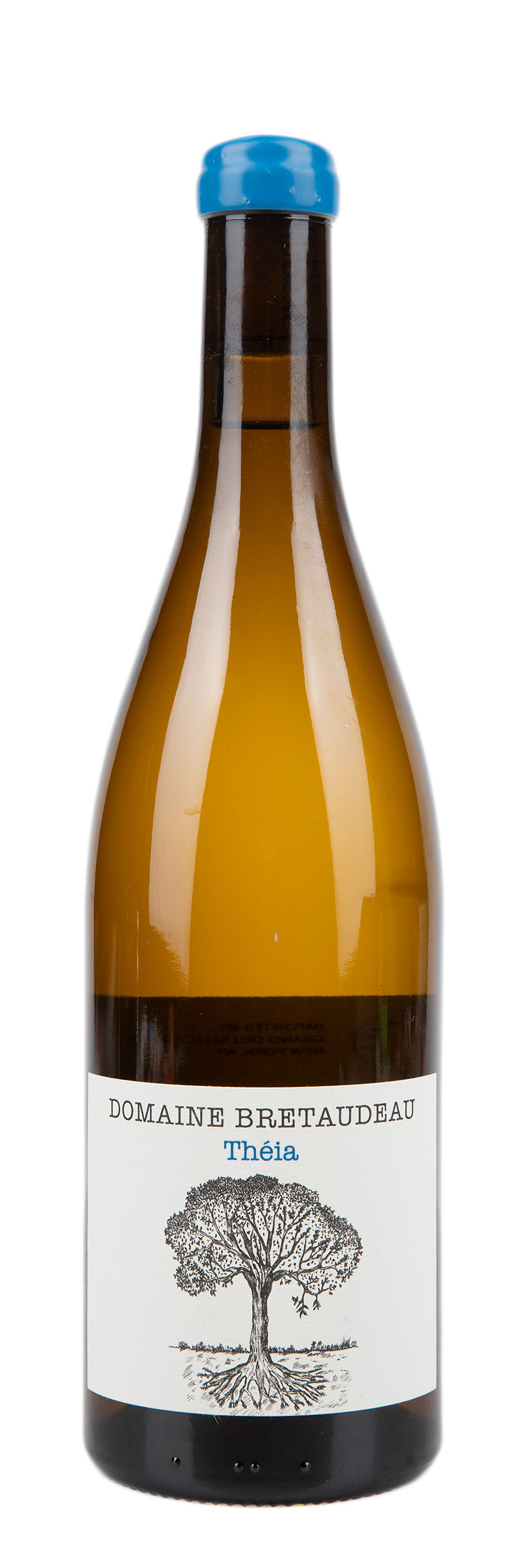 2023 Jerome Bretaudeau Muscadet Theia 750ml